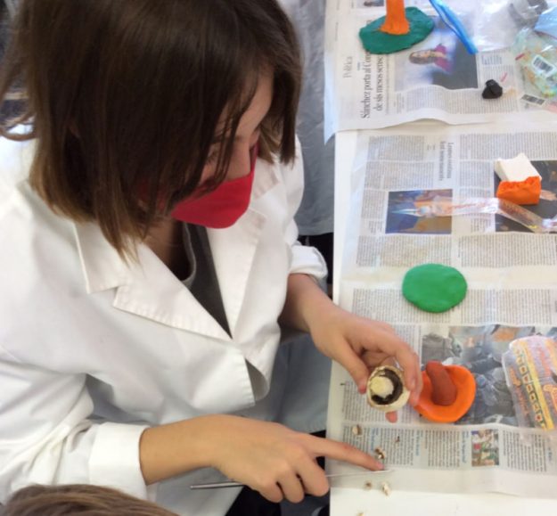 Setmana de la ciència. 1r d’ESO. Estudi dels bolets Setmana de la ciència. 1r d’ESO. Estudi dels bolets
