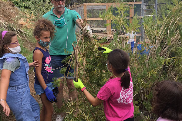 Escola Solc Barcelona - L'hort, eina didàctica i pedagògica