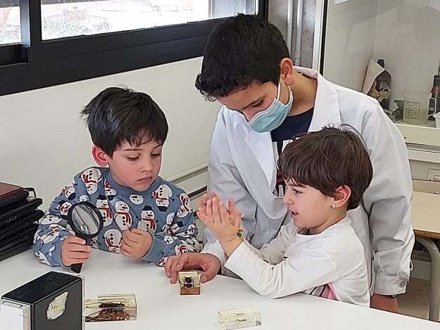 Escola Solc Barcelona - Treballem la ciència de manera experimental
