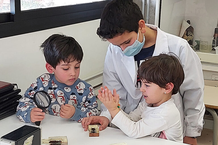 Escola Solc Barcelona - Treballem la ciència de manera experimental