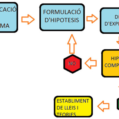 Escola Solc Barcelona - Projecte transversal Ciència Sostenible - 2n de primària
