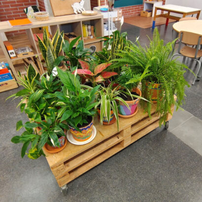 Escola Solc Barcelona - Projecte transversal Ciència Sostenible - 2n de primària