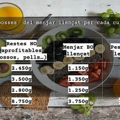 Escola Solc Barcelona - Projecte transversal Ciència Sostenible - Cicle superior