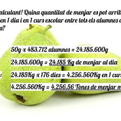 Escola Solc Barcelona - Projecte transversal Ciència Sostenible - Cicle superior