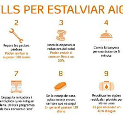 Escola Solc Barcelona - Projecte transversal Ciència Sostenible - Cicle superior