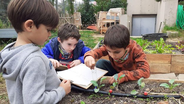 Escola Solc de Barcelona – Tallers internivells Escola Solc de Barcelona - Tallers internivells