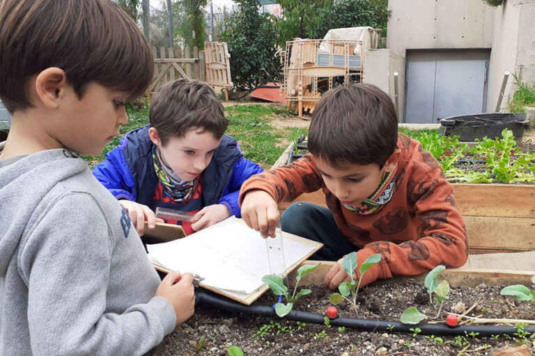 Escola Solc de Barcelona - Tallers internivells