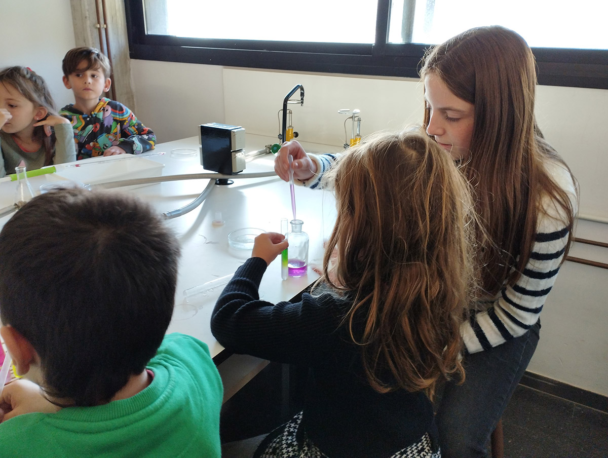 Escola Solc de Barcelona - Laboratori de química