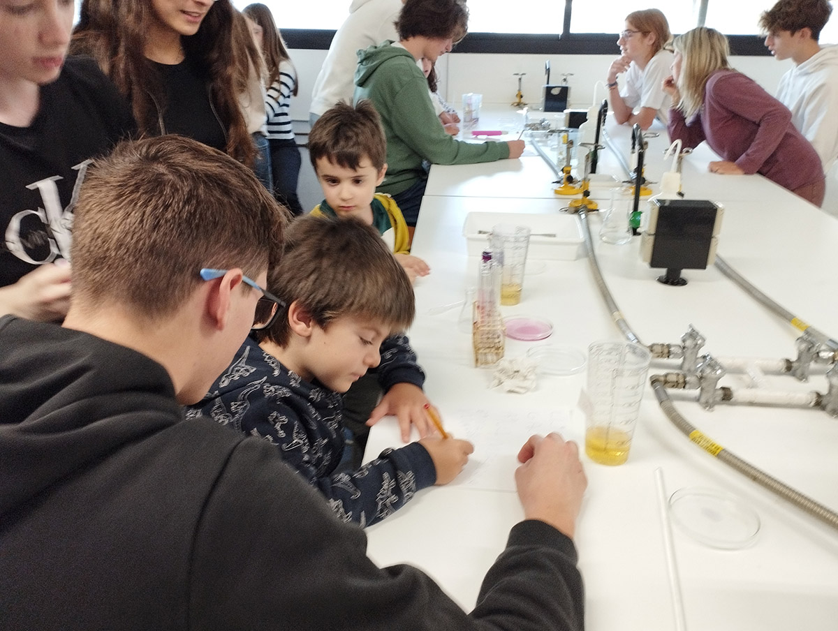 Escola Solc de Barcelona - Laboratori de química