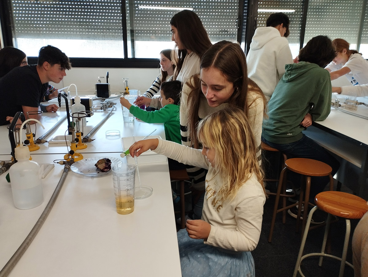 Escola Solc de Barcelona - Laboratori de química