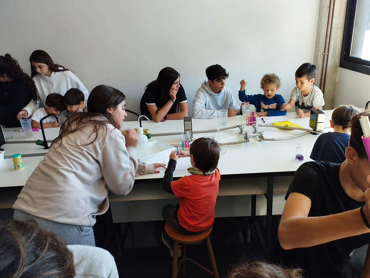 Escola Solc de Barcelona - Laboratori de química