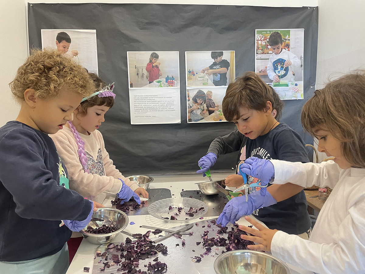 Escola Solc de Barcelona - Laboratori de química