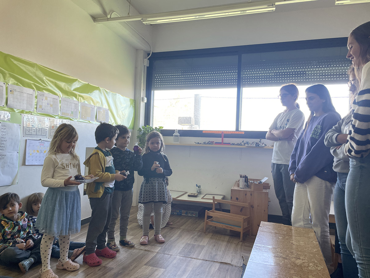Escola Solc de Barcelona - Laboratori de química