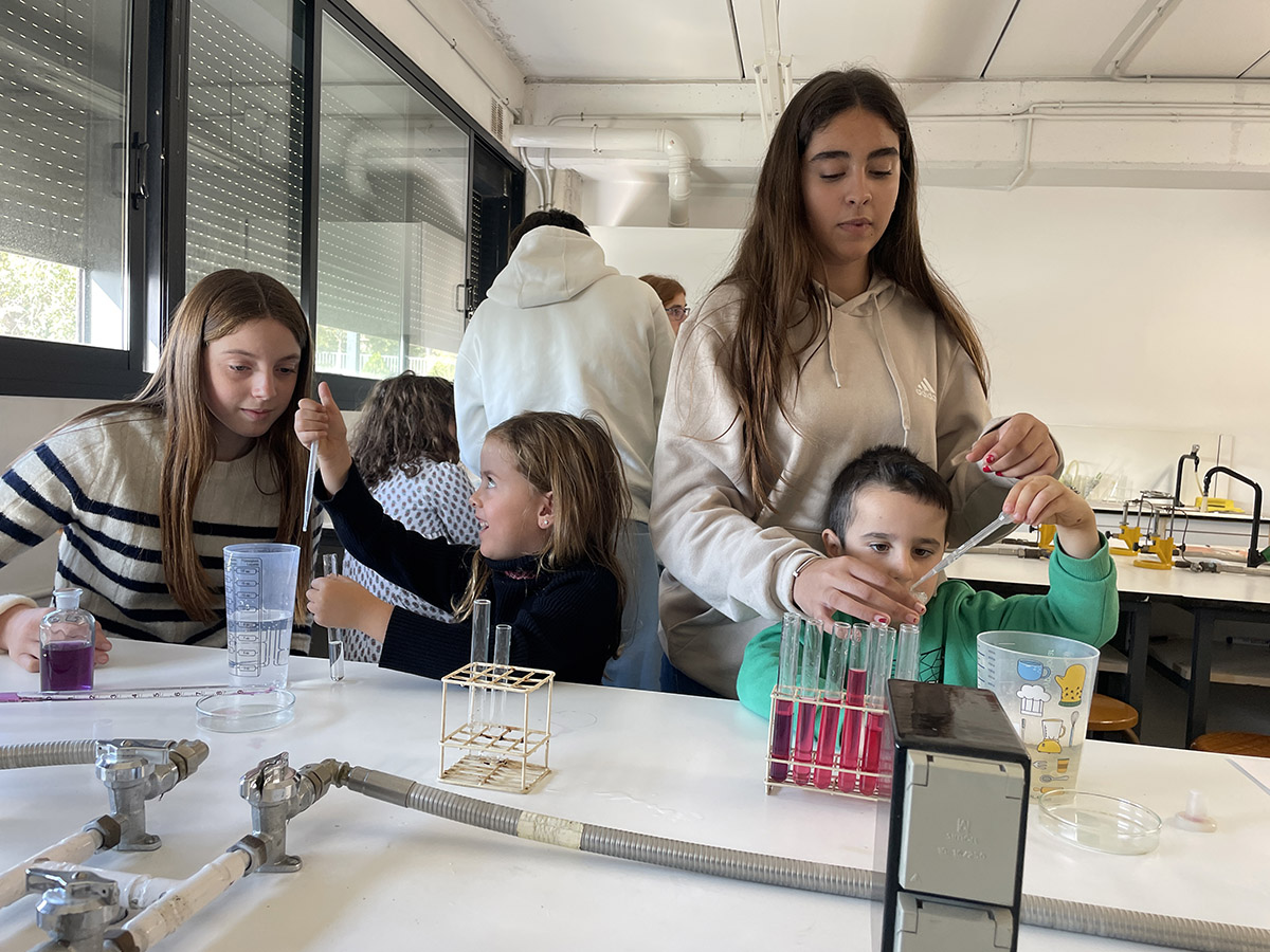 Escola Solc de Barcelona - Laboratori de química
