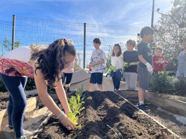 Escola Solc de Barcelona - Projecte Hort