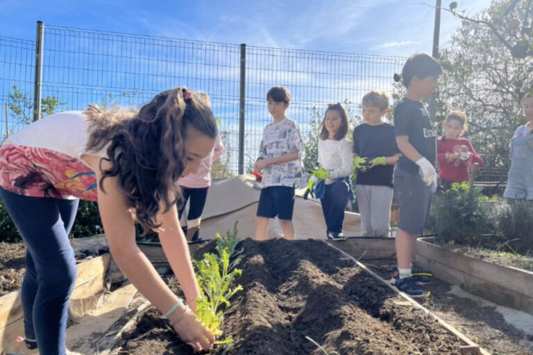 Escola Solc de Barcelona - Projecte Hort