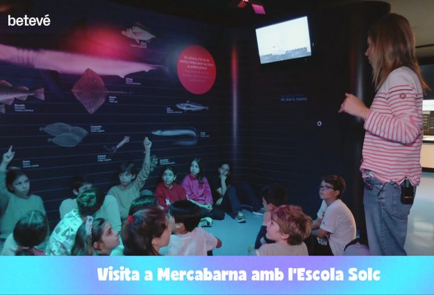 Escola Solc al taller de Mercabarna Creix amb el peix Escola Solc al taller de Mercabarna Creix amb el peix