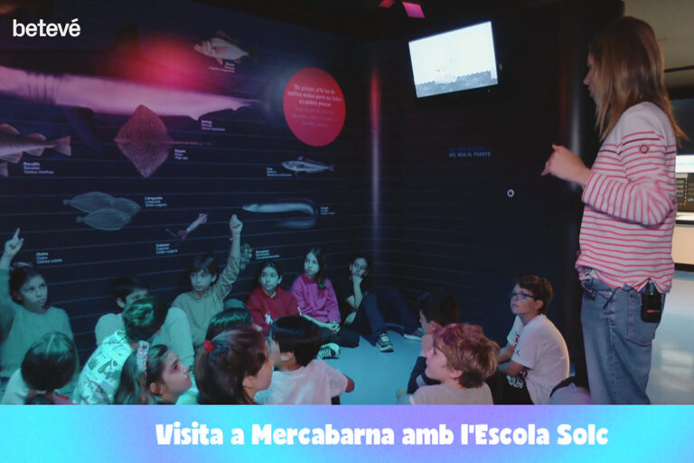Escola Solc al taller de Mercabarna Creix amb el peix