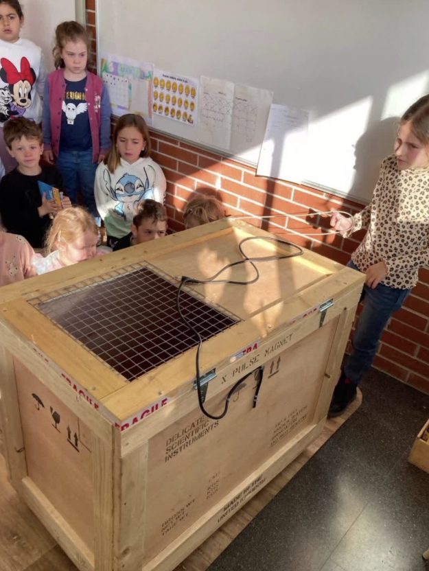 Escola Solc de Barcelona – El naixement de pollets Escola Solc de Barcelona - El naixement de pollets