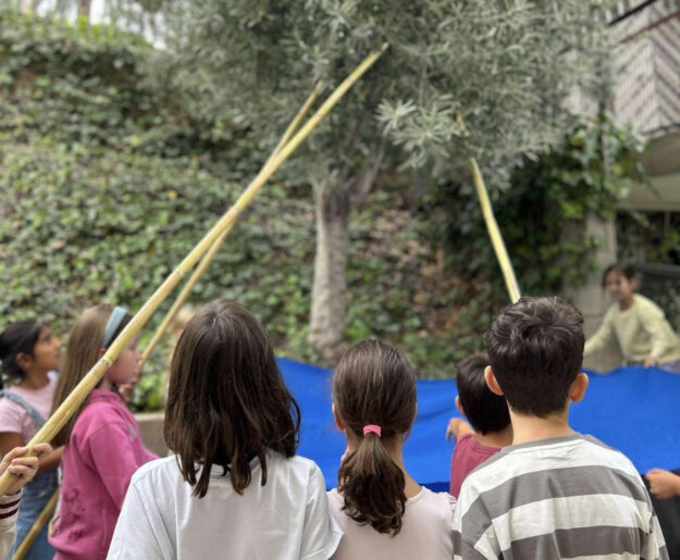 Escola Solc – Batollar l’olivera Escola Solc - Batollar l’olivera