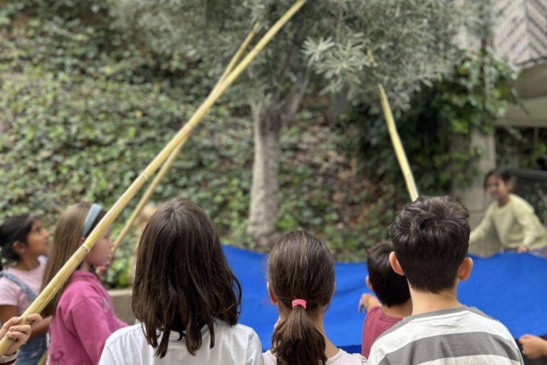 Escola Solc - Batollar l’olivera