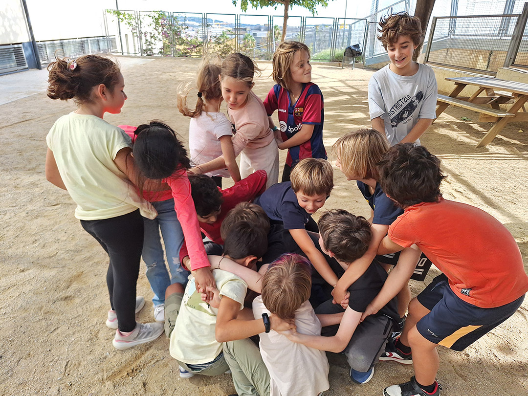 Laboratoris de Cicle Mitjà