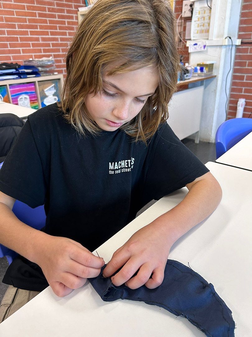 Laboratoris de Cicle Mitjà