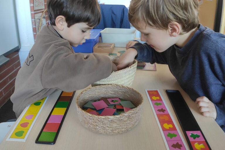 Escola Solc de Barcelona - Microespais a Solc