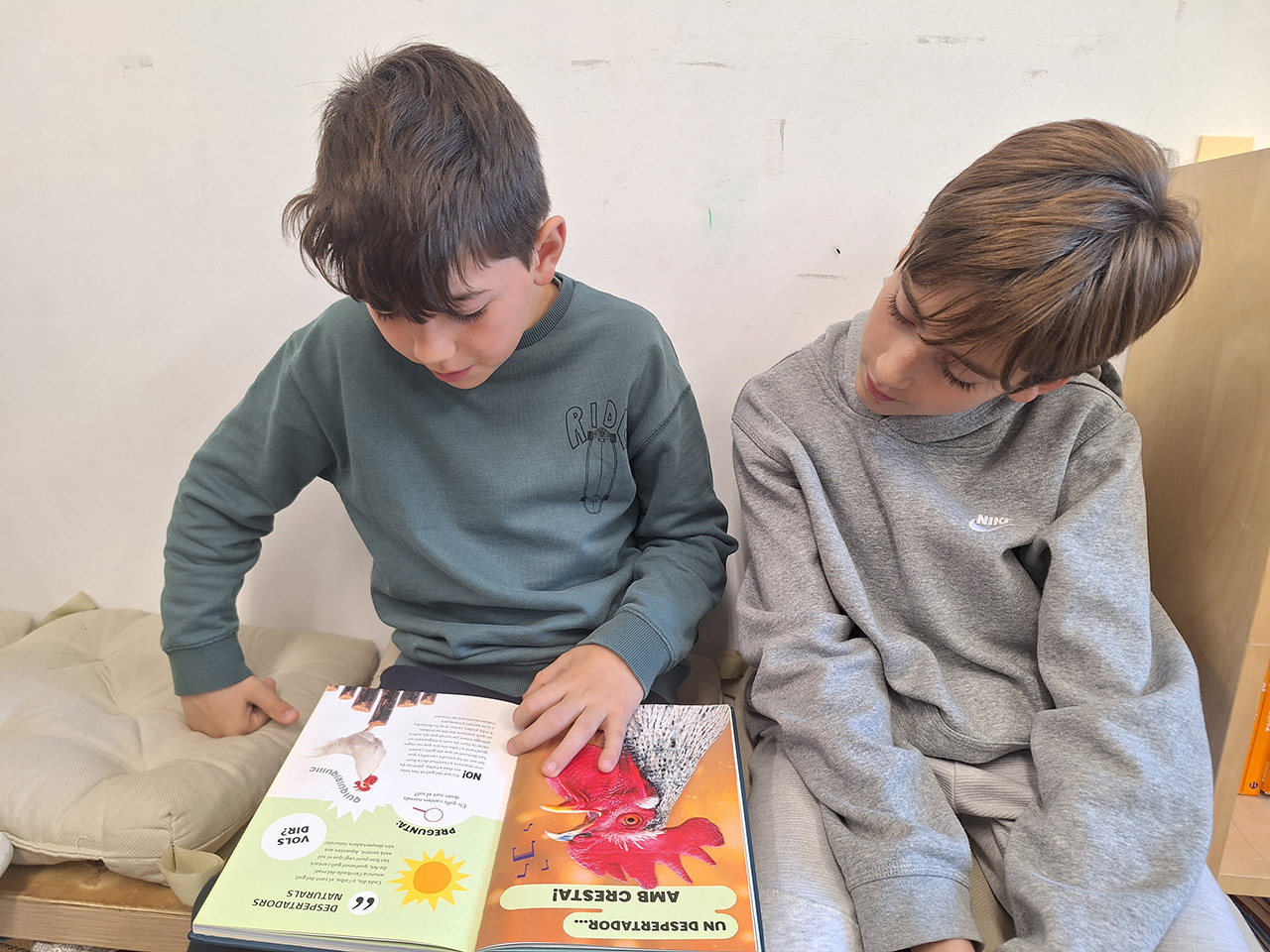 Llegim i compartim!