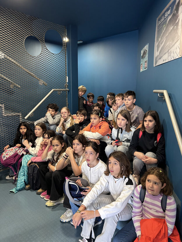 Escola Solc de Barcelona – Creix amb el peix! Escola Solc de Barcelona - Creix amb el peix!