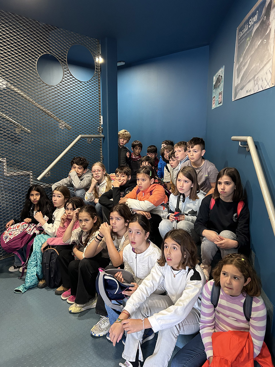 Escola Solc de Barcelona - Creix amb el peix!