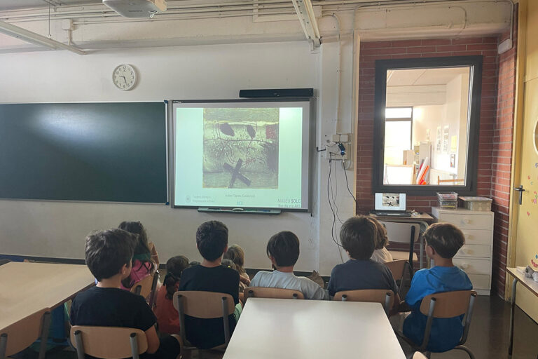 Escola Solc de Barcelona - Bon dia amb art