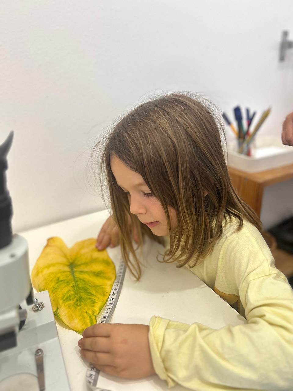 Escola Solc de Barcelona - Documentació